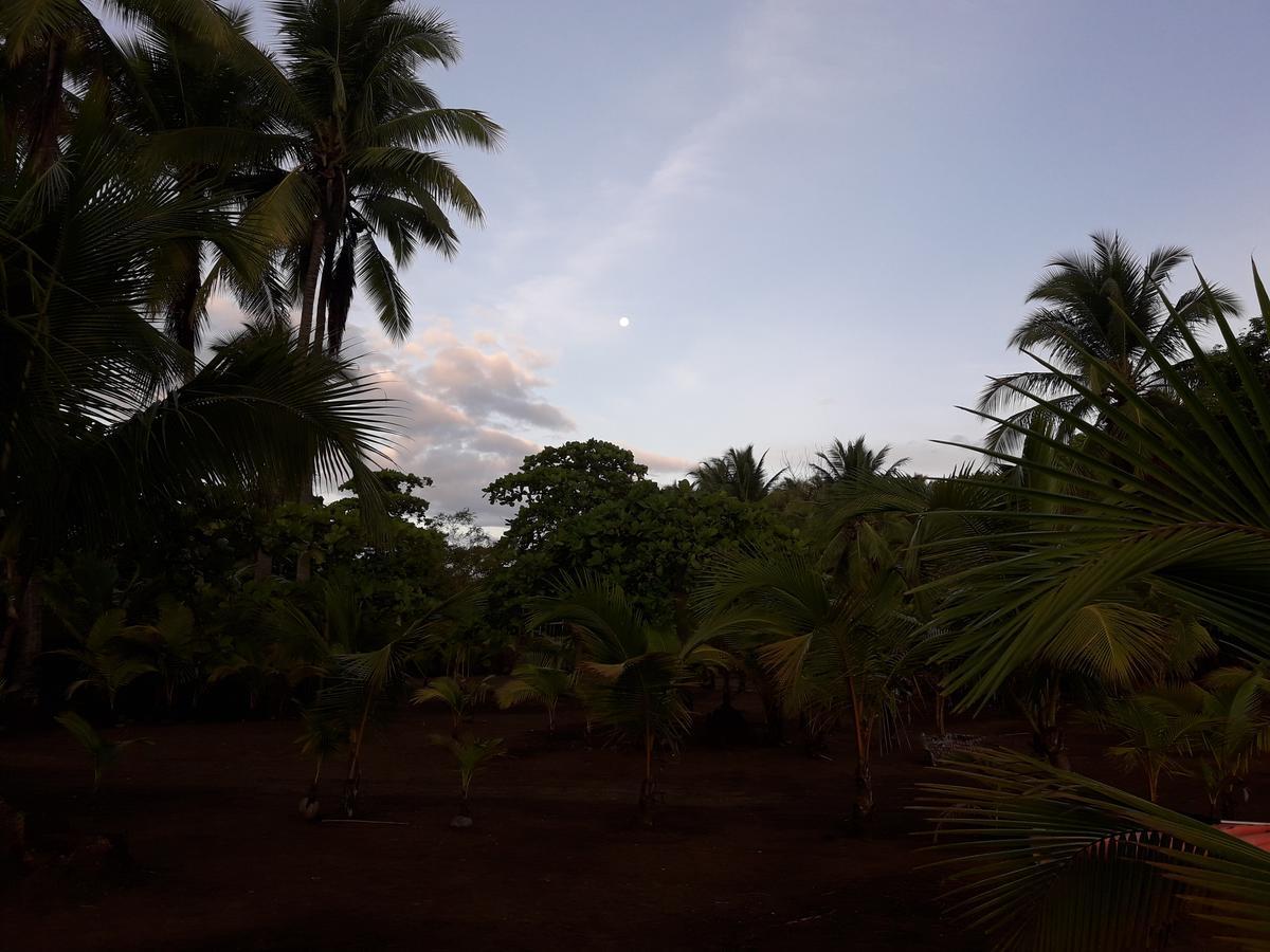 Hostal Pachamama Исла-де-Каньяс Экстерьер фото