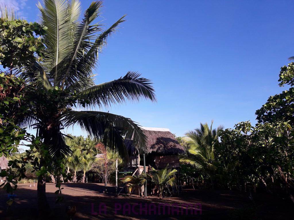 Hostal Pachamama Исла-де-Каньяс Экстерьер фото