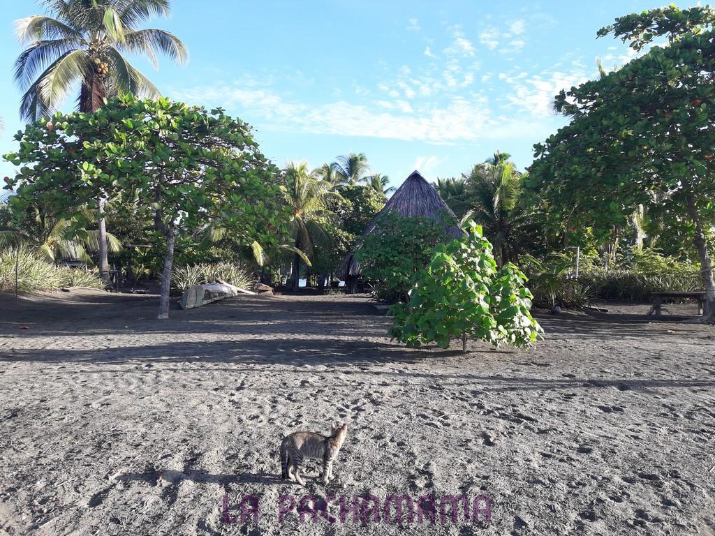 Hostal Pachamama Исла-де-Каньяс Экстерьер фото