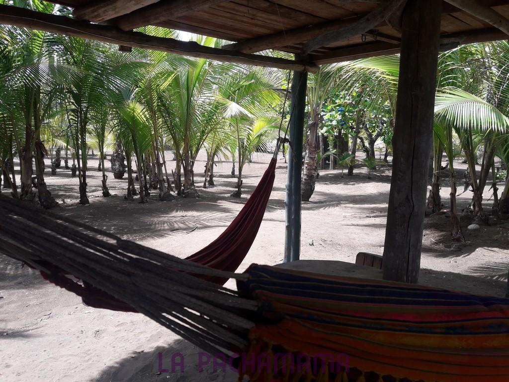 Hostal Pachamama Исла-де-Каньяс Экстерьер фото