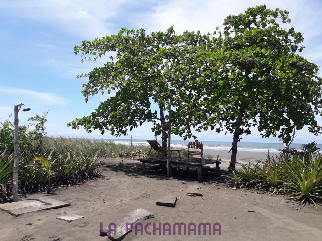 Hostal Pachamama Исла-де-Каньяс Экстерьер фото