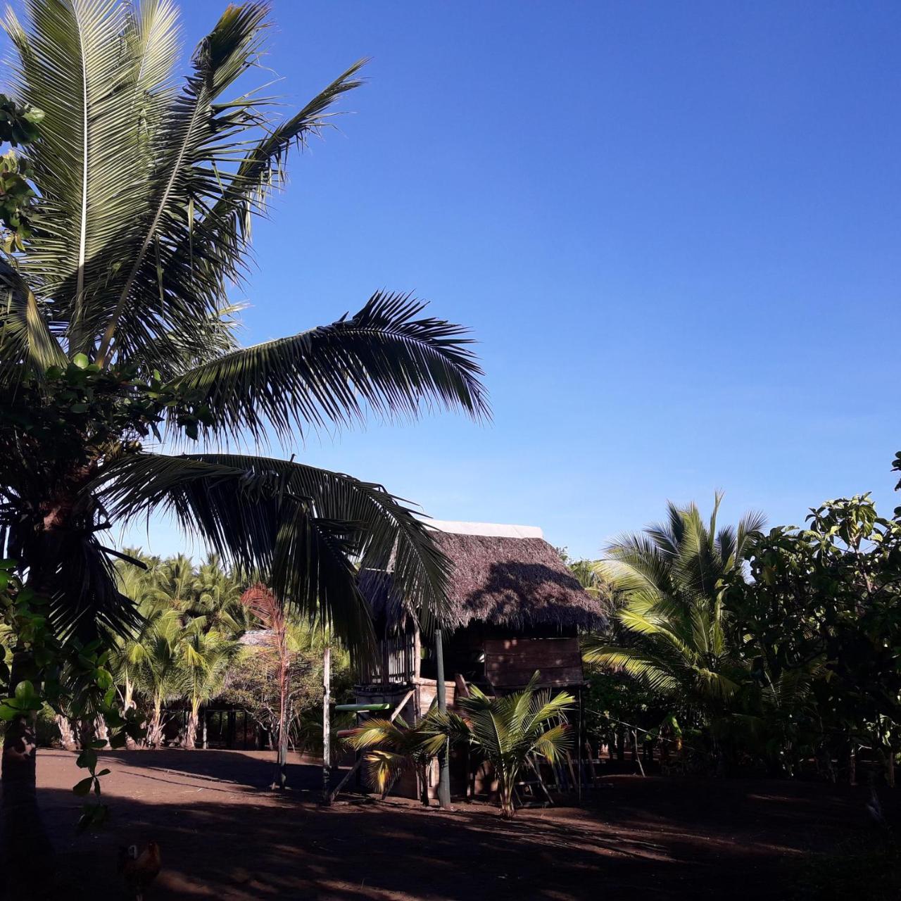 Hostal Pachamama Исла-де-Каньяс Экстерьер фото